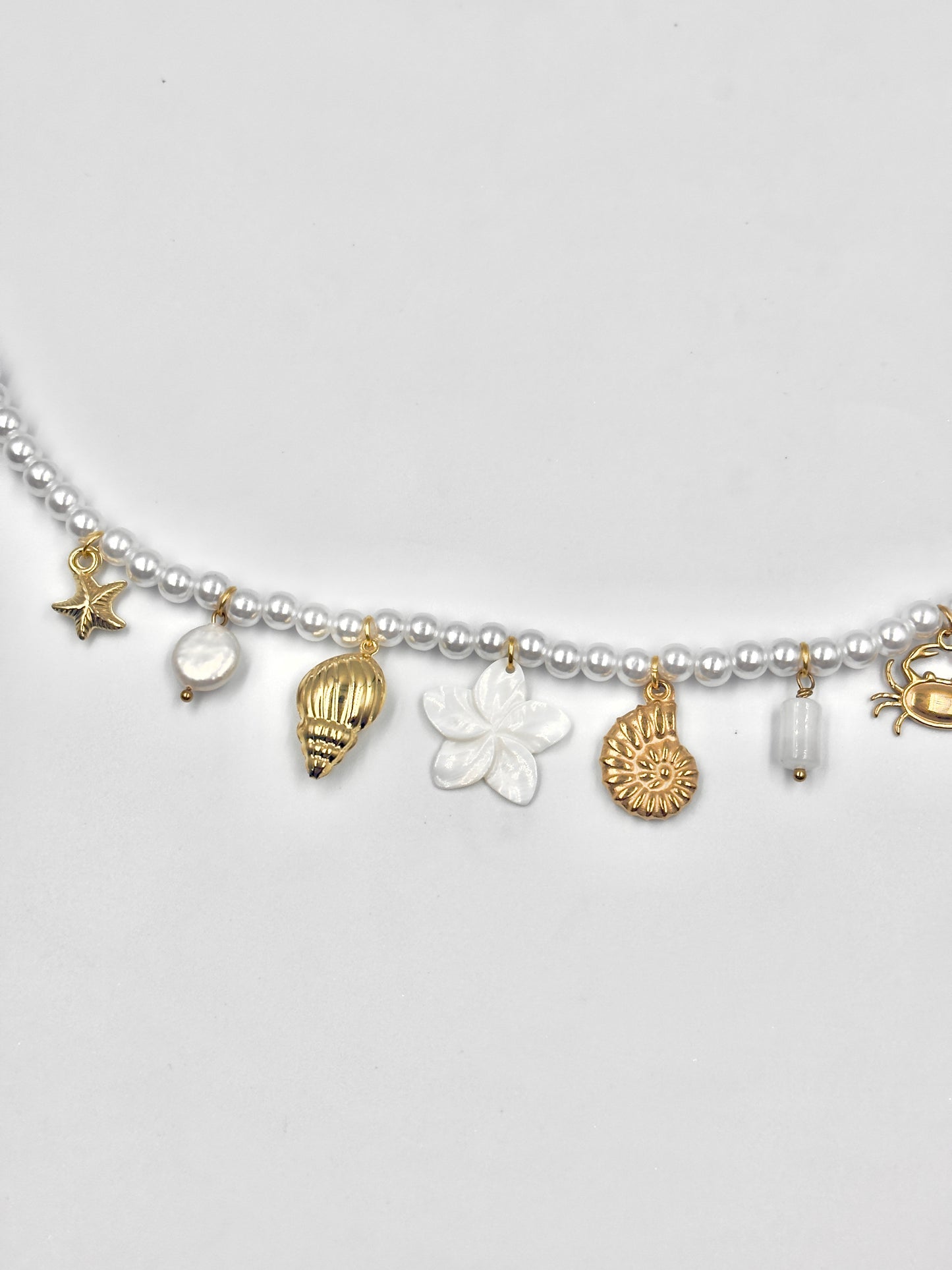 🦪 The Coastal Pearl